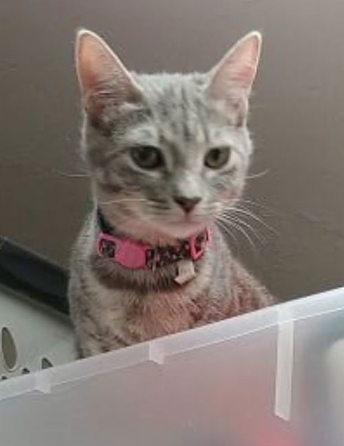 Lucy