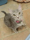 Lucy