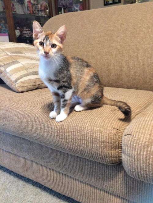 Winifred
