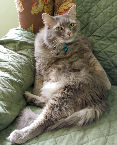 Rocky
