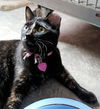 Lola