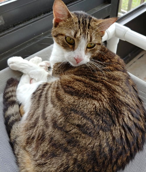 Molly