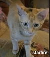 Starfire