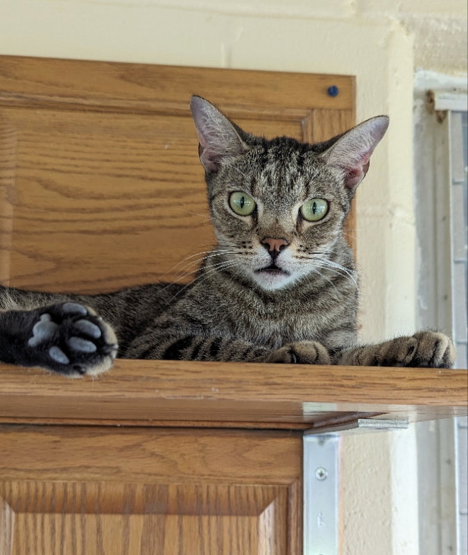Ralph, photo 4