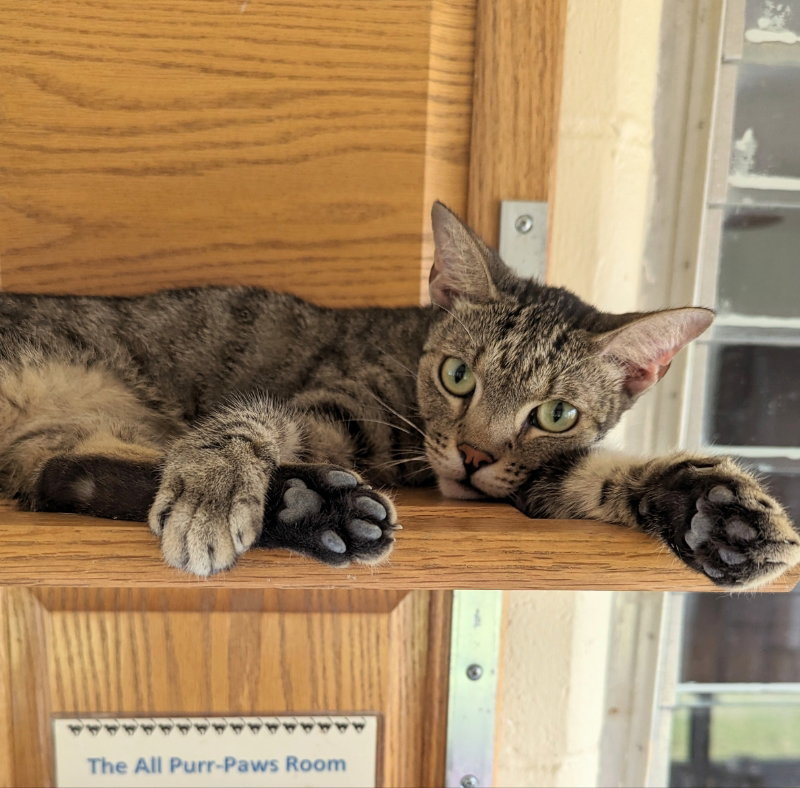 Ralph, photo 7