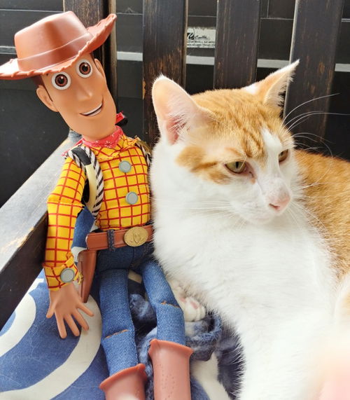 Woody