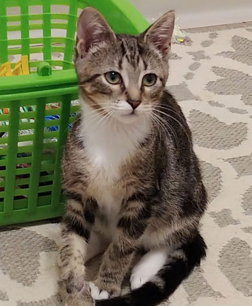 Sprout
