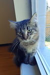 Cleo