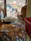 Smudge