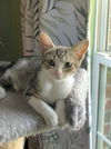 Cleo