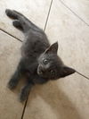 Lucy