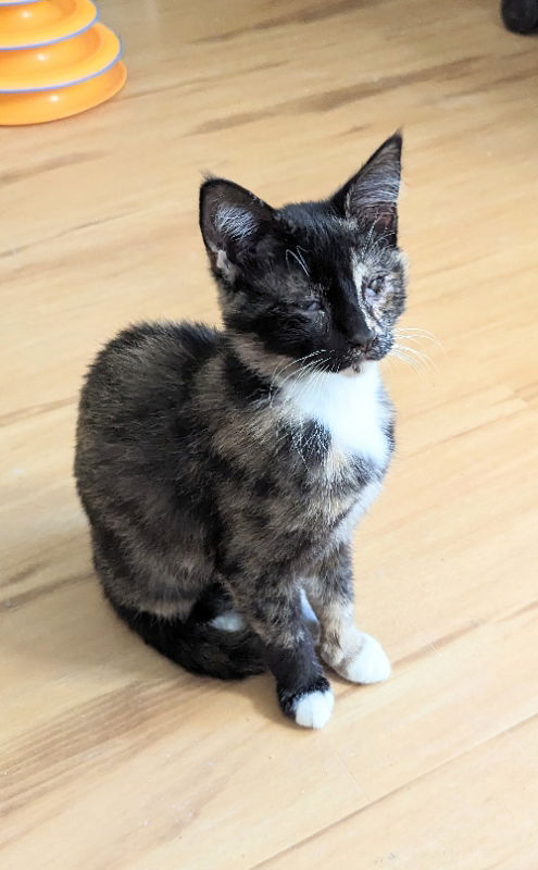 Lucie