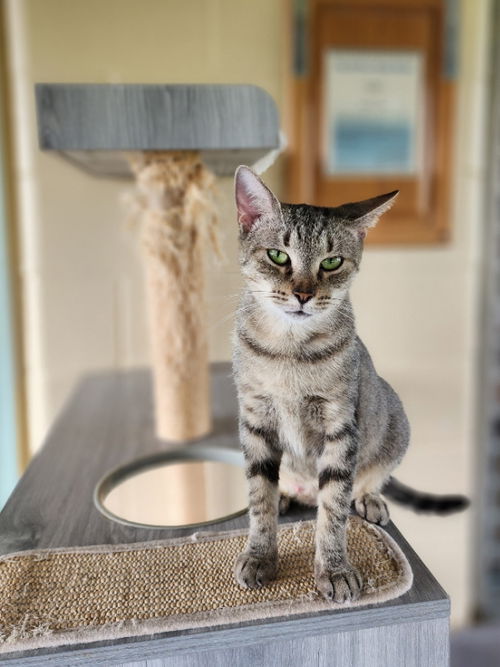 Audrey Catburn