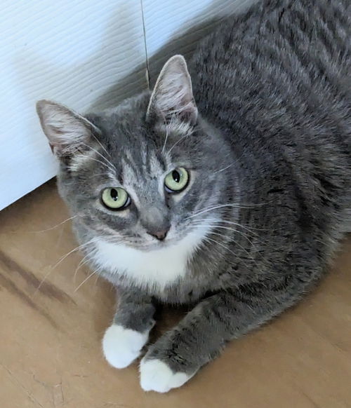 Coco