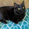 Binx