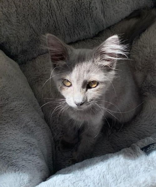 Gracie Mae