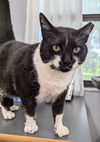Mr. Whiskers