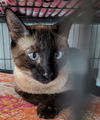Rosky