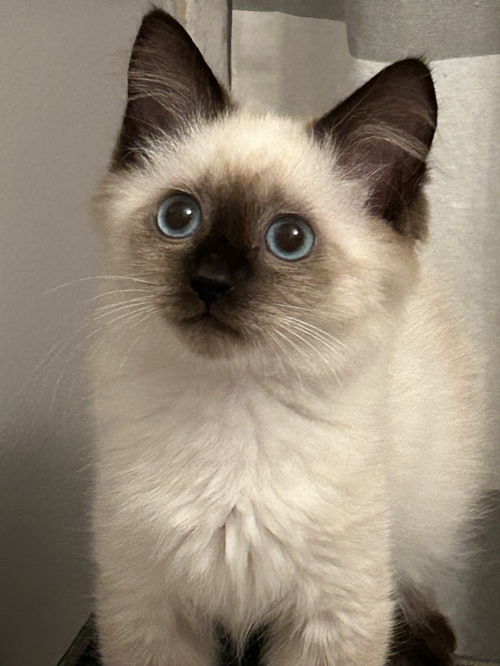 Azure