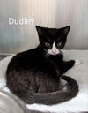 Dudley