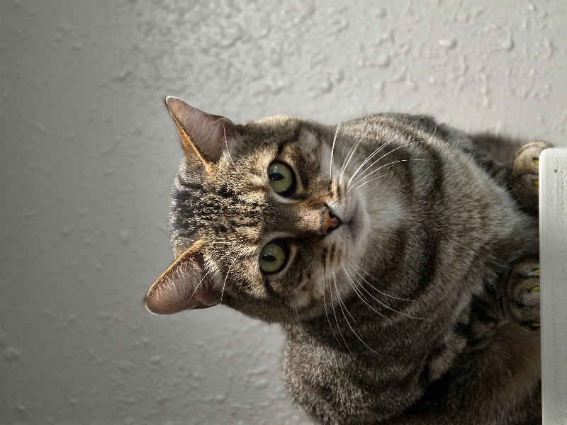 Gerald, photo 9