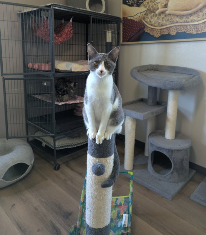 Maggie May, photo 2