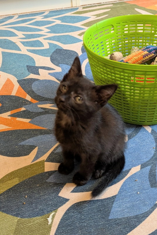 Small Fry, photo 6