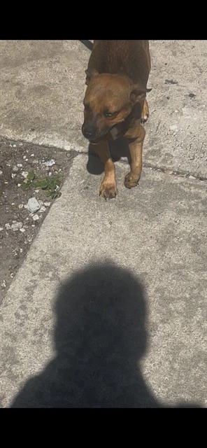 Milo