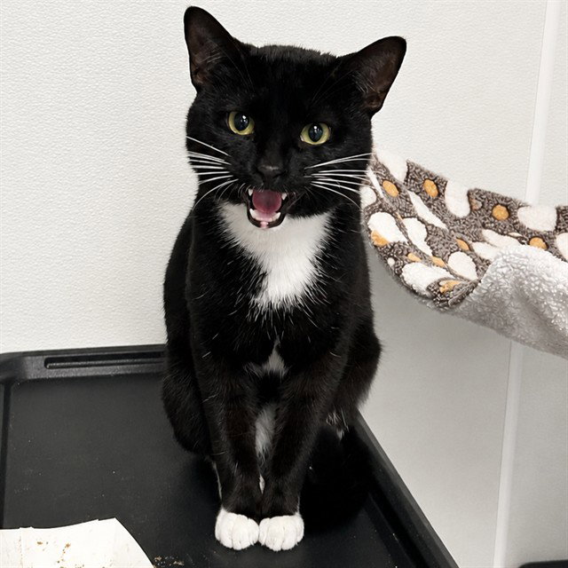 TUX