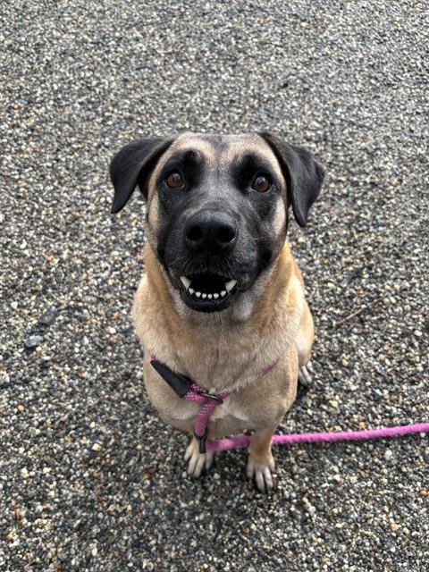 Darla