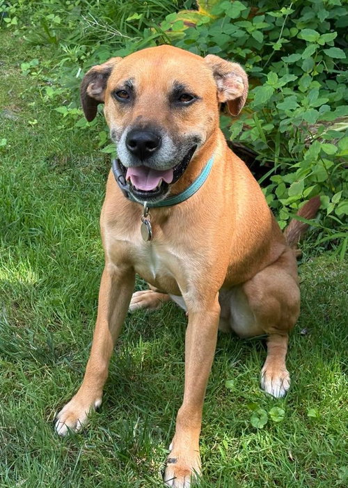 Fergus