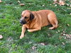 Juliana - Photo 7