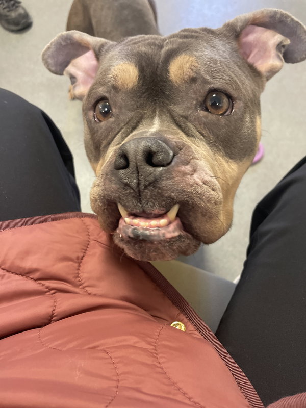 Fiona