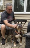 Fiona