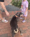 Fiona - Photo 6