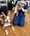 Finnegan - Photo 13