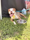 Finnegan - Photo 10