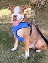 Finnegan - Photo 7