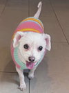 Baby Girl (& Jeter)- BONDED PAIR