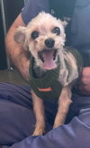 Baby Girl (& Jeter)- BONDED PAIR