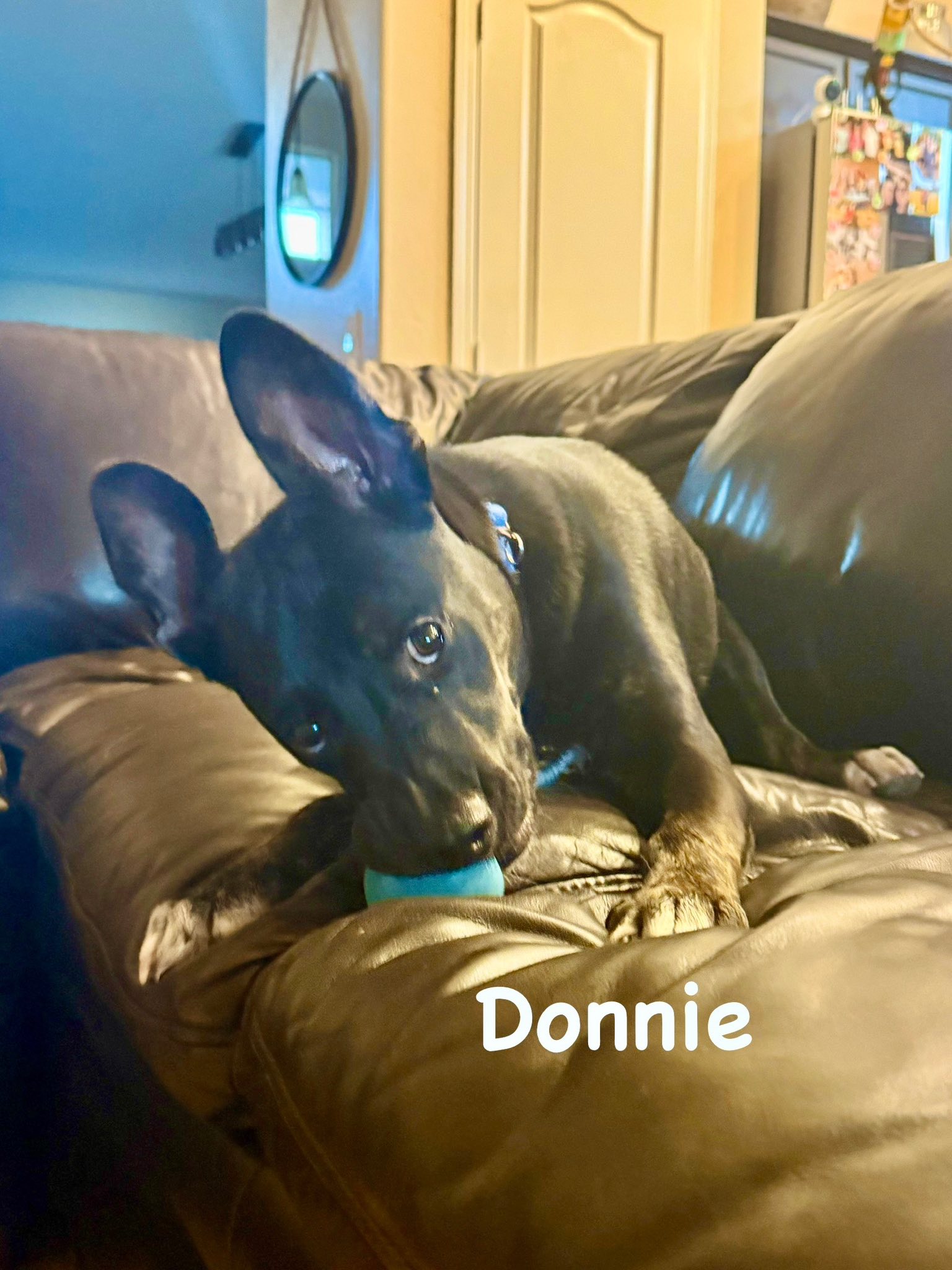 Donnie