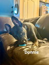 Donnie - Photo 1