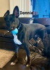 Donnie - Photo 4