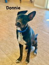 Donnie - Photo 5