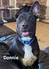 Donnie - Photo 3