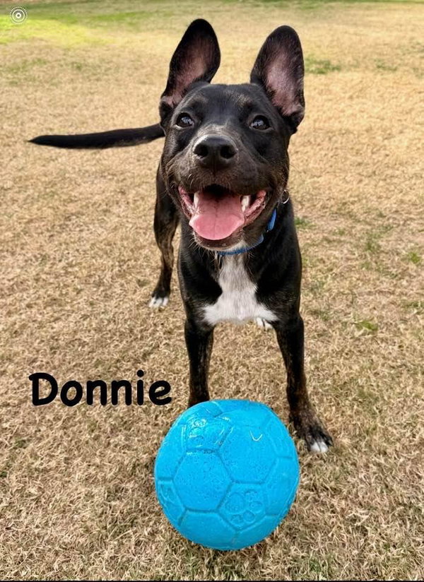 Donnie