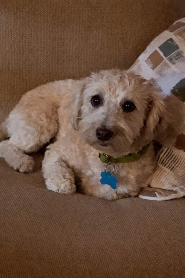 Lilah Image