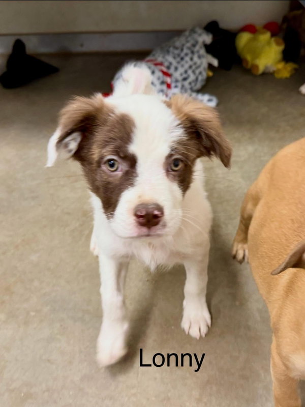 Lonny