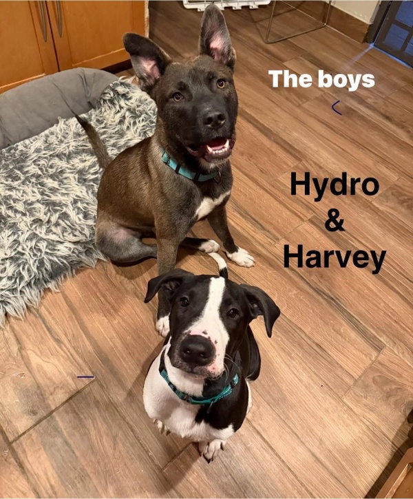 Hydro