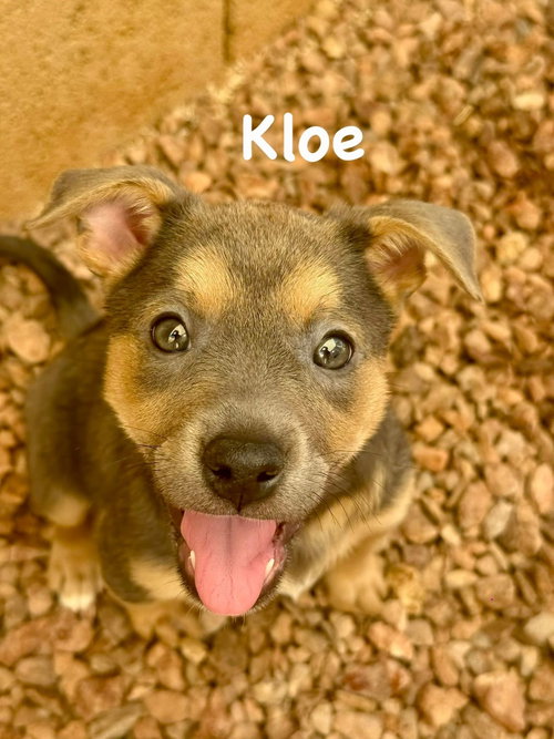 Kloe photo 2